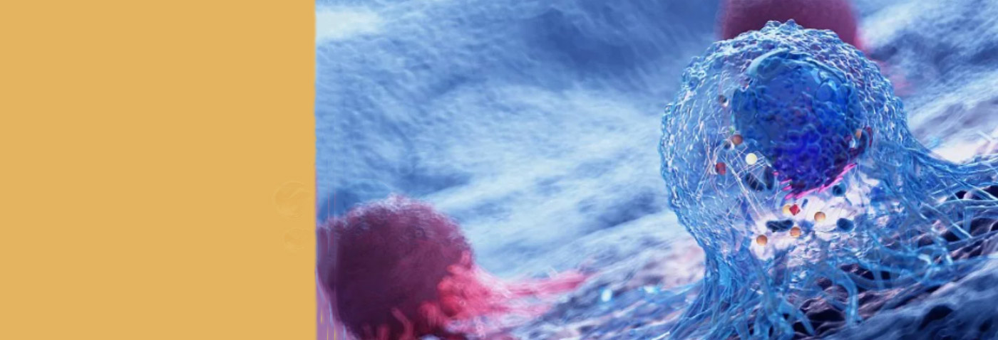 AG真人APP下载_AG真人·「中国」官方网站