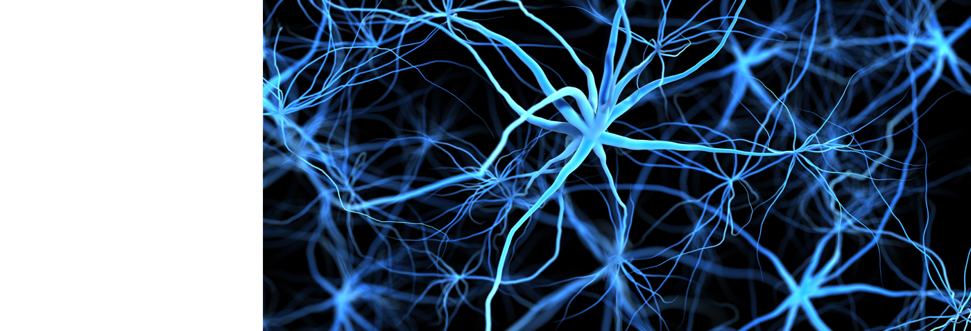 AG真人APP下载_AG真人·「中国」官方网站