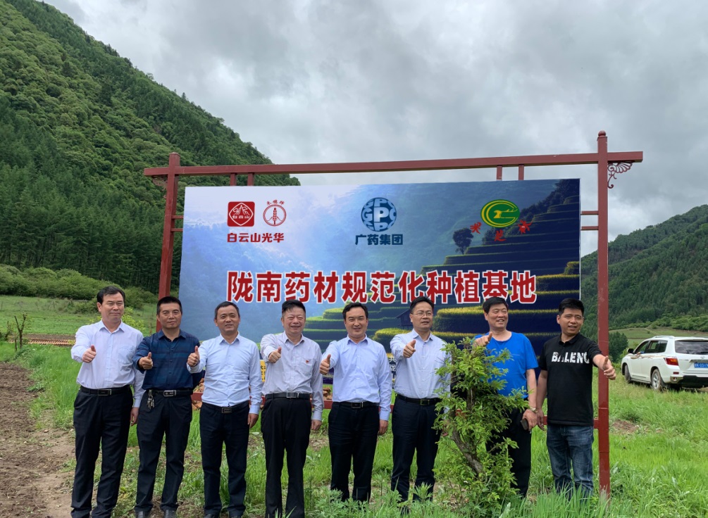 药材好，药才好 ——白云山幼柴胡颗粒北柴胡规范化种植基地正式揭牌！