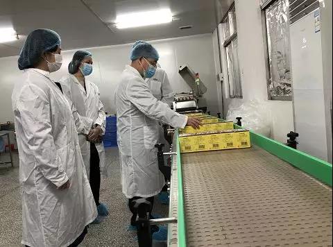 同心抗疫，确保质量！优惠活动办理大厅公司振隆厂表车间接受广药集团出产监督保险幼组工作督导