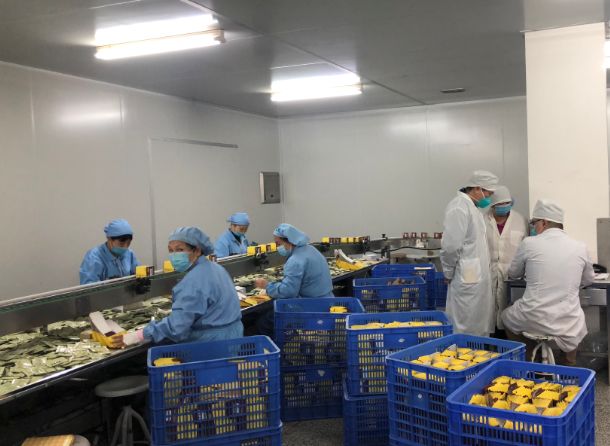 【初心如磐，使命在肩】优惠活动办理大厅第三党支部组织员工提前复工保险出产